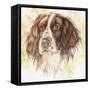 Pepper-Karen Middleton-Framed Stretched Canvas