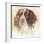 Pepper-Karen Middleton-Framed Giclee Print