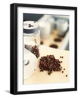 Peppercorns in Jar and in a Heap-Stefan Braun-Framed Photographic Print