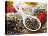 Peppercorns in Porcelain Spoon on Assorted Spices-Dieter Heinemann-Stretched Canvas