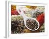 Peppercorns in Porcelain Spoon on Assorted Spices-Dieter Heinemann-Framed Photographic Print