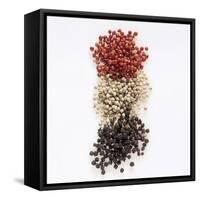 Peppercorns (Pink, White, Black)-Peter Rees-Framed Stretched Canvas
