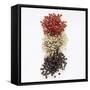 Peppercorns (Pink, White, Black)-Peter Rees-Framed Stretched Canvas