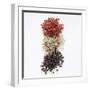 Peppercorns (Pink, White, Black)-Peter Rees-Framed Photographic Print