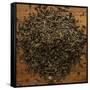 Peppermint Leaves-Steve Gadomski-Framed Stretched Canvas
