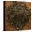 Peppermint Leaves-Steve Gadomski-Stretched Canvas