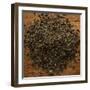 Peppermint Leaves-Steve Gadomski-Framed Photographic Print