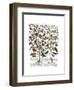 Peppers 1-Fab Funky-Framed Art Print