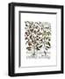 Peppers 1-Fab Funky-Framed Art Print