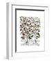 Peppers 1-Fab Funky-Framed Art Print