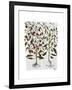 Peppers 1-Fab Funky-Framed Art Print