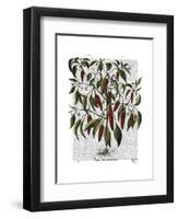 Peppers 3-Fab Funky-Framed Art Print