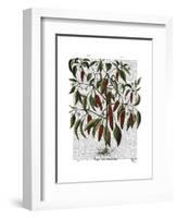 Peppers 3-Fab Funky-Framed Art Print