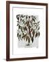 Peppers 3-Fab Funky-Framed Art Print