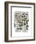 Peppers 4-Fab Funky-Framed Art Print