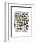 Peppers 4-Fab Funky-Framed Art Print