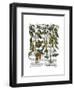 Peppers 7-Fab Funky-Framed Art Print