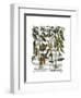 Peppers 7-Fab Funky-Framed Art Print