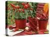 Peppers and Chili Peppers in Red Enamel Buckets-Friedrich Strauss-Stretched Canvas