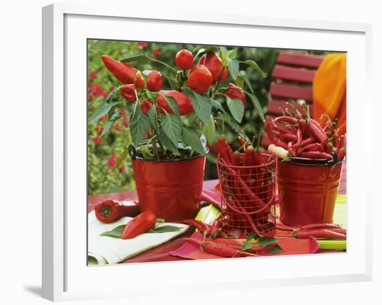 Peppers and Chili Peppers in Red Enamel Buckets-Friedrich Strauss-Framed Photographic Print