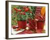 Peppers and Chili Peppers in Red Enamel Buckets-Friedrich Strauss-Framed Photographic Print