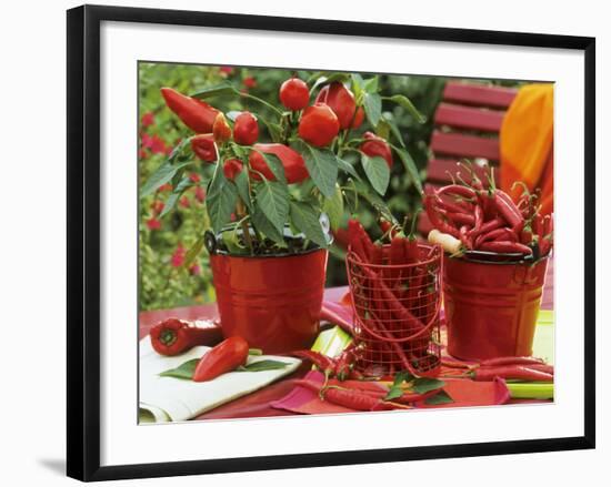 Peppers and Chili Peppers in Red Enamel Buckets-Friedrich Strauss-Framed Photographic Print