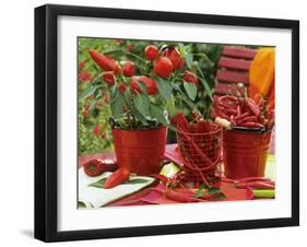 Peppers and Chili Peppers in Red Enamel Buckets-Friedrich Strauss-Framed Photographic Print