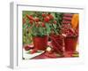 Peppers and Chili Peppers in Red Enamel Buckets-Friedrich Strauss-Framed Photographic Print