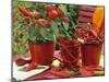 Peppers and Chili Peppers in Red Enamel Buckets-Friedrich Strauss-Mounted Photographic Print