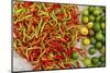 Peppers and limes at market, Vientiane, Capital of Laos, Southeast Asia-Tom Haseltine-Mounted Photographic Print