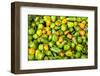 Peppers at a farmers market in the fall, New York City, NY, USA.-Julien McRoberts-Framed Photographic Print