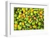 Peppers at a farmers market in the fall, New York City, NY, USA.-Julien McRoberts-Framed Photographic Print