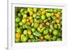 Peppers at a farmers market in the fall, New York City, NY, USA.-Julien McRoberts-Framed Photographic Print