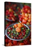 Peppers at Sao Joaquim Market, Salvador (Salvador de Bahia), Bahia, Brazil, South America-Yadid Levy-Stretched Canvas