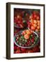 Peppers at Sao Joaquim Market, Salvador (Salvador de Bahia), Bahia, Brazil, South America-Yadid Levy-Framed Premium Photographic Print