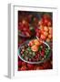 Peppers at Sao Joaquim Market, Salvador (Salvador de Bahia), Bahia, Brazil, South America-Yadid Levy-Framed Photographic Print