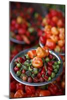 Peppers at Sao Joaquim Market, Salvador (Salvador de Bahia), Bahia, Brazil, South America-Yadid Levy-Mounted Photographic Print