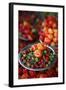 Peppers at Sao Joaquim Market, Salvador (Salvador de Bahia), Bahia, Brazil, South America-Yadid Levy-Framed Photographic Print