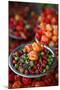 Peppers at Sao Joaquim Market, Salvador (Salvador de Bahia), Bahia, Brazil, South America-Yadid Levy-Mounted Photographic Print