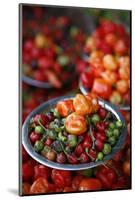 Peppers at Sao Joaquim Market, Salvador (Salvador de Bahia), Bahia, Brazil, South America-Yadid Levy-Mounted Photographic Print