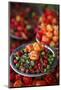 Peppers at Sao Joaquim Market, Salvador (Salvador de Bahia), Bahia, Brazil, South America-Yadid Levy-Mounted Photographic Print