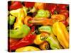 Peppers, Ferry Building Farmer's Market, San Francisco, California, USA-Inger Hogstrom-Stretched Canvas