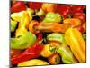 Peppers, Ferry Building Farmer's Market, San Francisco, California, USA-Inger Hogstrom-Mounted Premium Photographic Print