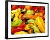 Peppers, Ferry Building Farmer's Market, San Francisco, California, USA-Inger Hogstrom-Framed Photographic Print