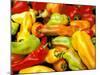 Peppers, Ferry Building Farmer's Market, San Francisco, California, USA-Inger Hogstrom-Mounted Photographic Print