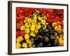 Peppers, Ferry Building Farmer's Market, San Francisco, California, USA-Inger Hogstrom-Framed Photographic Print