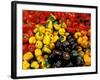 Peppers, Ferry Building Farmer's Market, San Francisco, California, USA-Inger Hogstrom-Framed Photographic Print