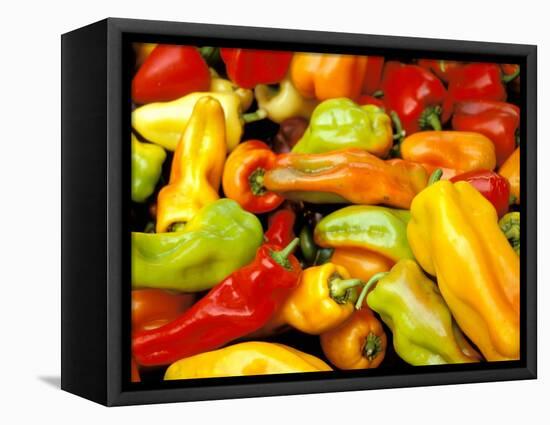 Peppers, Ferry Building Farmer's Market, San Francisco, California, USA-Inger Hogstrom-Framed Stretched Canvas