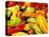 Peppers, Ferry Building Farmer's Market, San Francisco, California, USA-Inger Hogstrom-Stretched Canvas