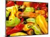 Peppers, Ferry Building Farmer's Market, San Francisco, California, USA-Inger Hogstrom-Mounted Photographic Print